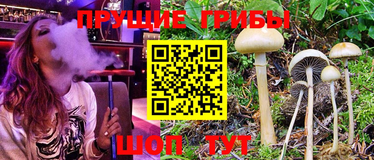 Псилоцибиновые грибы MAGIC MUSHROOMS Красный Сулин