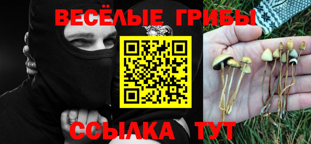 Красный Сулин  Галлюциногенные грибы GOLDEN TEACHER  Вход с VPN 